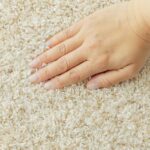 カーペットのパイル（カット・ループ）の種類と違い
