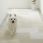 ペット（犬）の廊下滑り止め対策にはカーペット・マットを