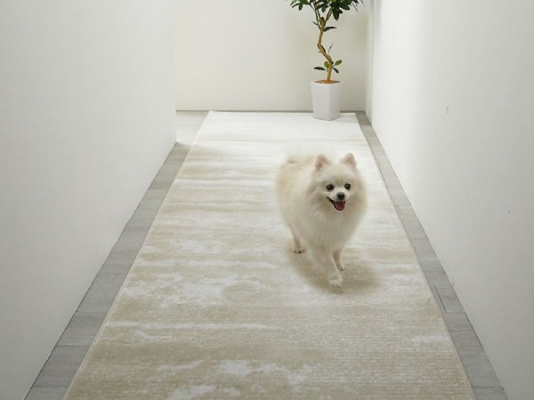 ペットの廊下滑り止め対策にはカーペットがおすすめ