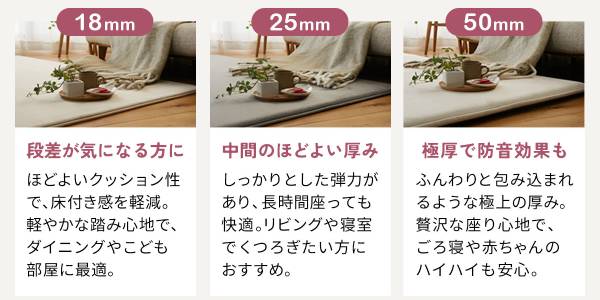 ホリデープラスの厚みの違いと特徴