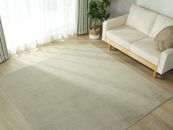 機能性に優れたラグ『パレット2』