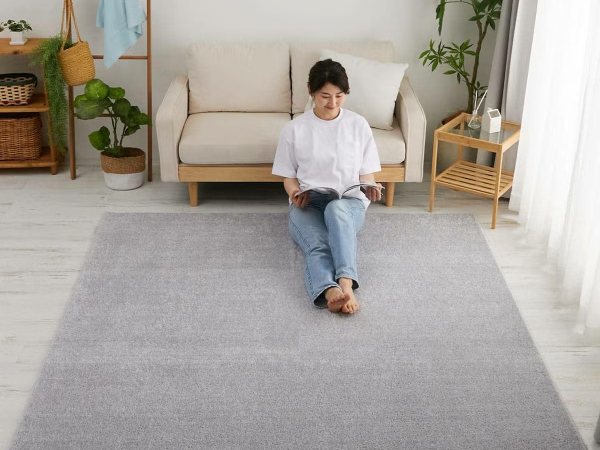 夏のラグにおすすめな冷感機能付きのオアシス2
