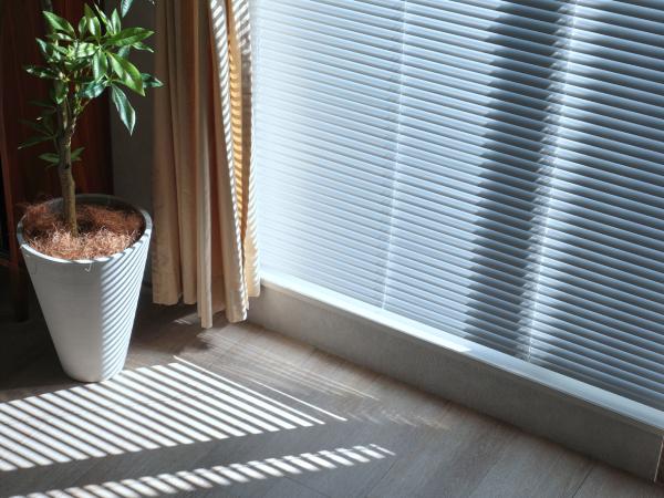 おしゃれなブラインドに日差しが差し込んでいる様子