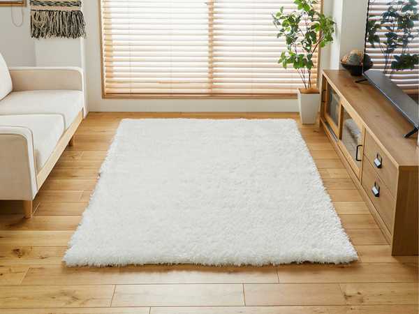 毛足の長いふわふわのシャギーカーペットが日当たりの良い部屋に敷かれている
