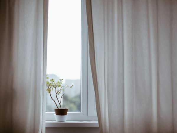 窓辺のカーテンが少し開いていて観葉植物が見える