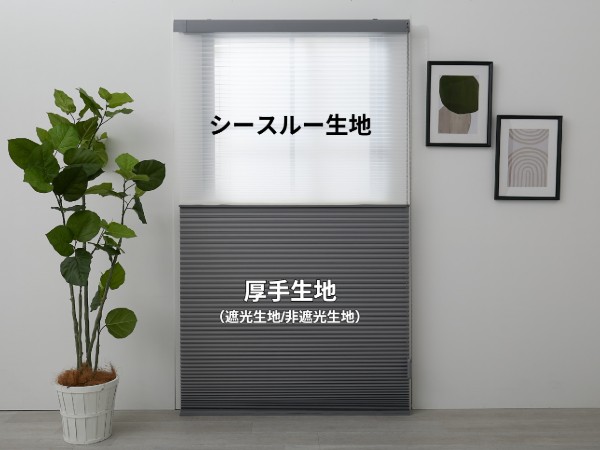 ツインタイプのハニカムスクリーン