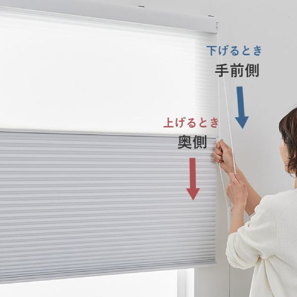 ツインタイプのハニカムスクリーン