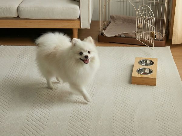 撥水機能でペットにもお子様にもおすすめなおしゃれラグ