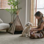 【獣医師監修】ペットにおすすめ6畳以上のカーペット特集
