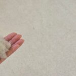 ウールカーペットから遊び毛が発生する理由と対処法について