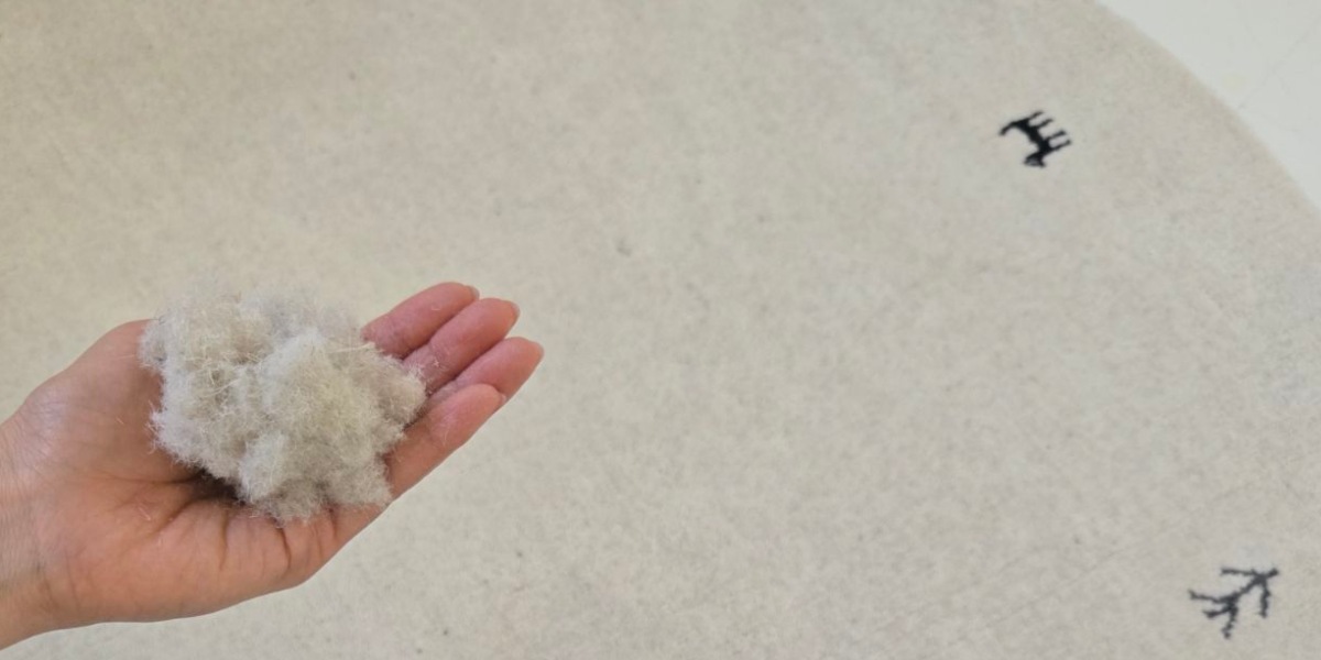 ウールラグから出る遊び毛