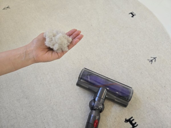 ウールラグに掃除機を掛けて出た遊び毛