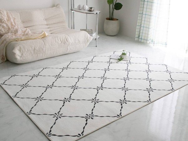 韓国インテリアラグとラグとソファー