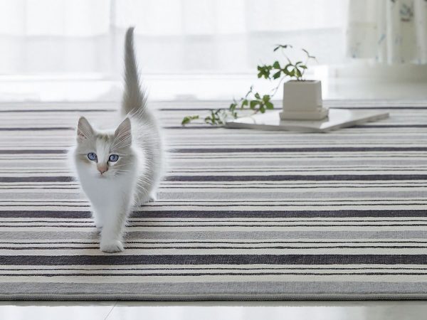 遊び毛が少ない猫が舐めても大丈夫なラグ