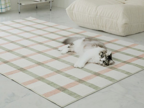 カーペットに寝転ぶ猫