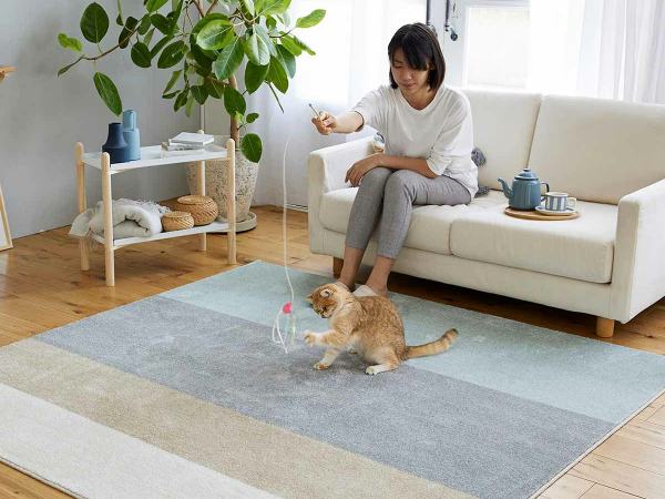 カーペットの上で猫と触れ合う女性