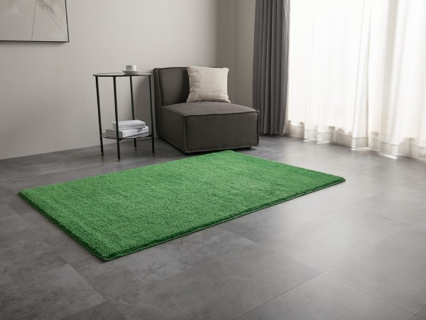 グリーンのラグとグレーのソファのインテリア