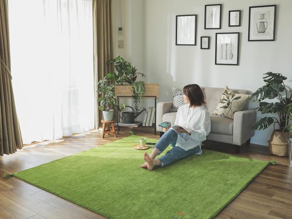 色相環でラグがアクセントカラーの実例