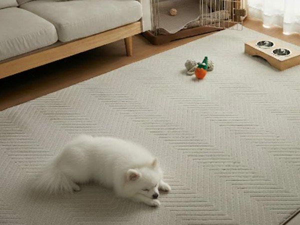 くつろぐ犬と撥水機能が 付いたラグ