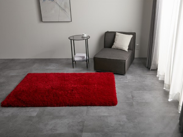 レッドのラグとグレーソファーのインテリア