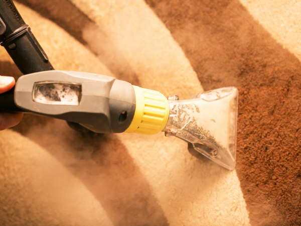 カーペットについた犬のおしっこをスチームクリーナーで綺麗にする