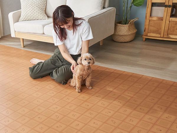 犬の粗相にも心強いクッションフロアラグ　