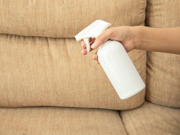 犬の粗相を消臭スプレーでお手入れする