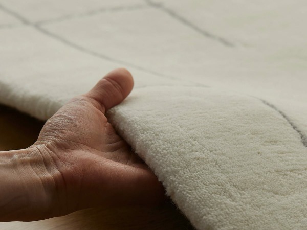 ウールカーペットでダニが発生しないようにお手入れ