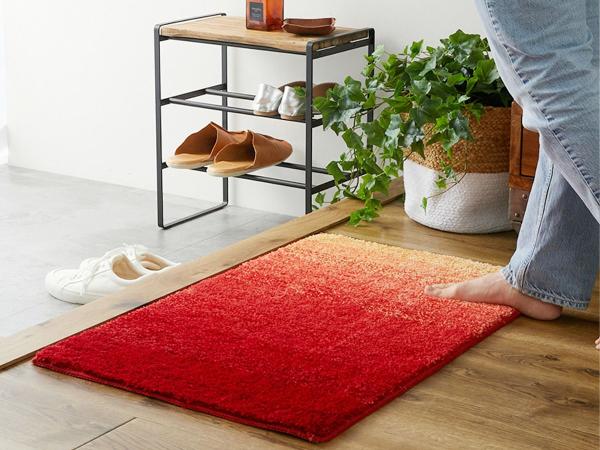 風水で邪気を払ってくれる玄関マット