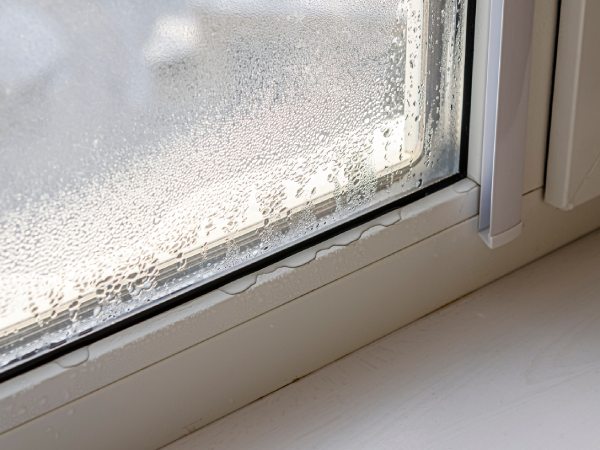 ダニが発生しやすいリビングの様子