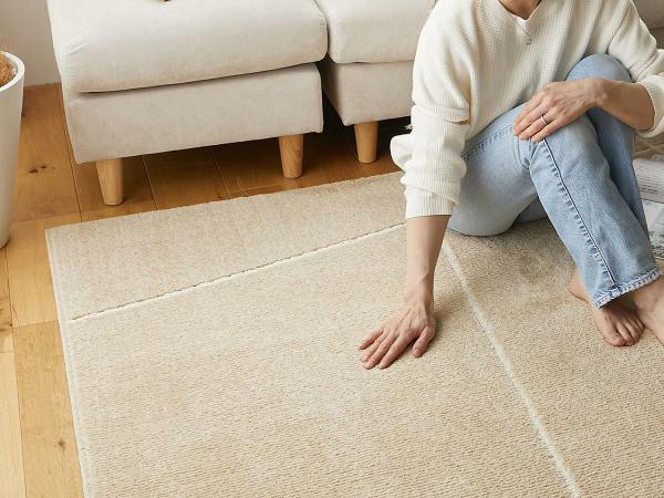 肌触りの良いオールシーズン使えるラグ、ポッシュ2