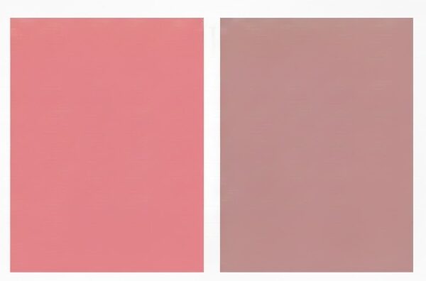 ピンクとくすみピンクの色相環