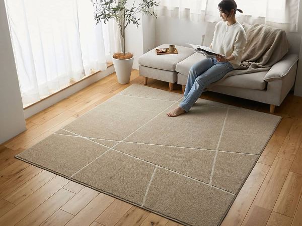 日本アトピー協会推奨のお肌に優しい薄いラグ『ポッシュ2』