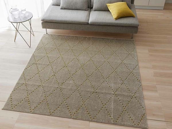 洗濯機で洗える防ダニアレルゲン対策ができるラグ