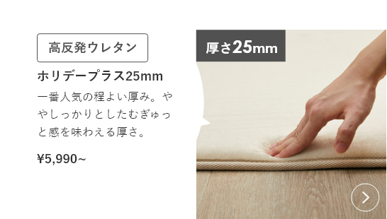 ホリデープラス 高反発【厚み約25ｍｍ】