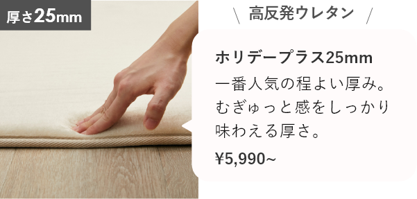 ホリデープラス 高反発【厚み約25ｍｍ】