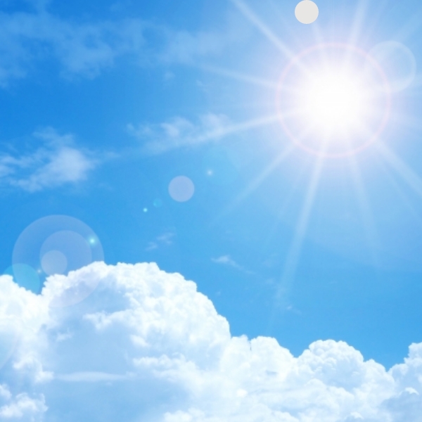 夏の日差しに