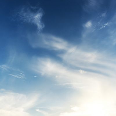 空気清浄効果