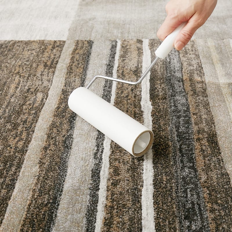 掃除機をかけている様子