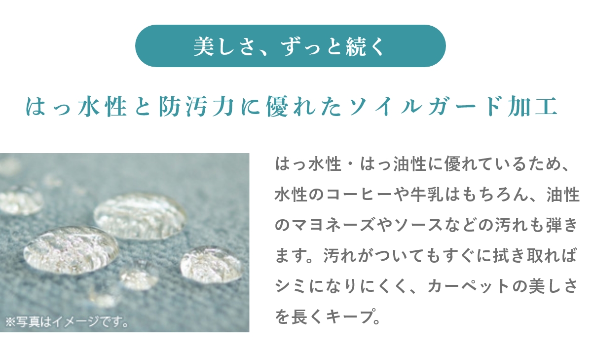 アバンス防汚説明