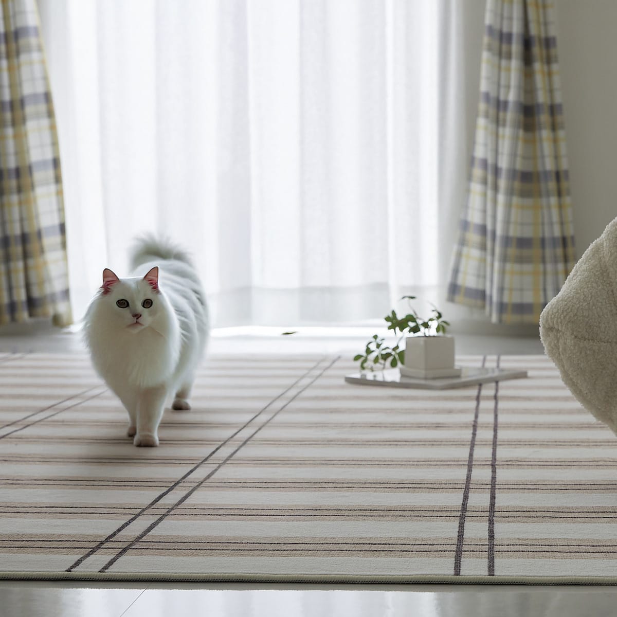 猫が歩いている様子