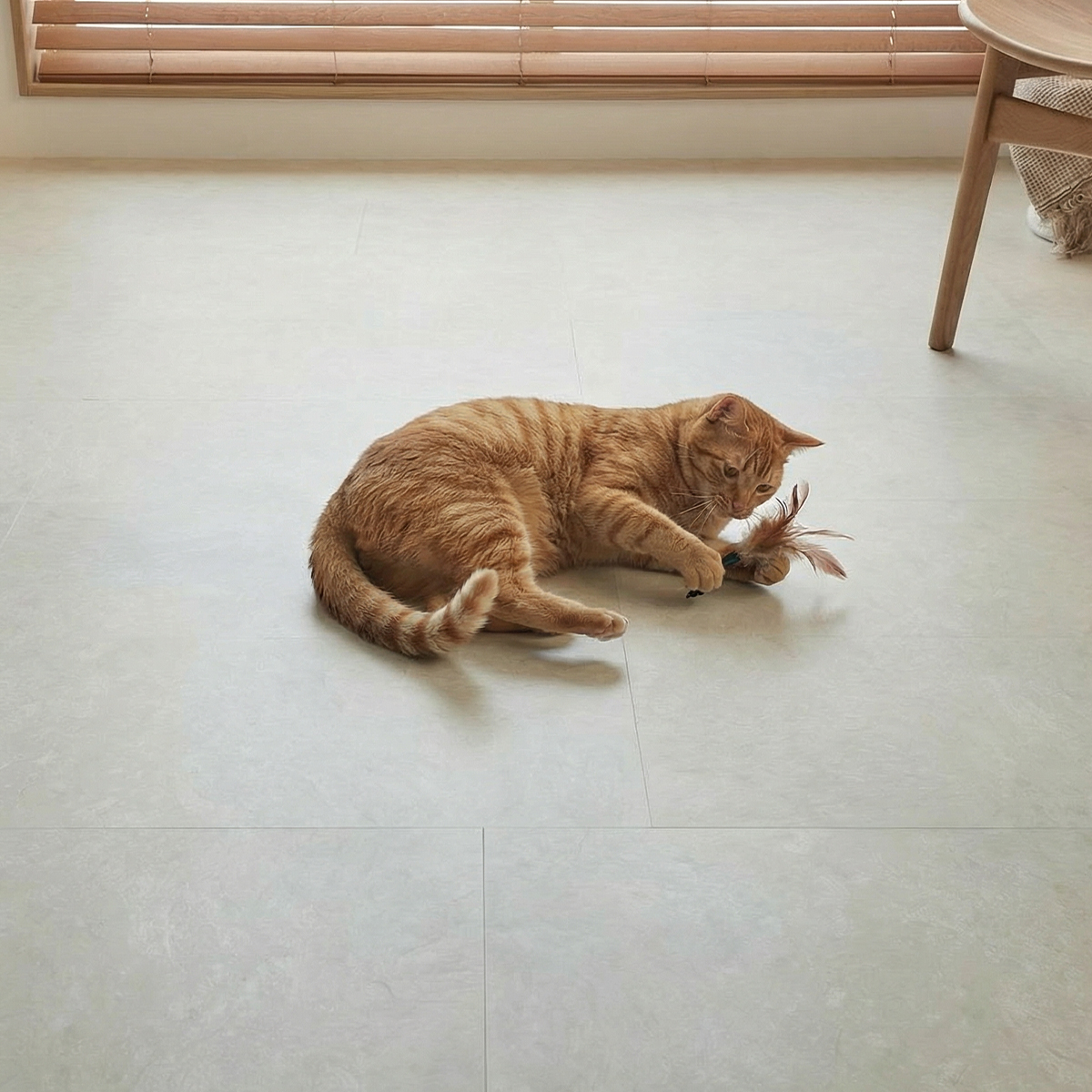 ペットが遊んでいる様子