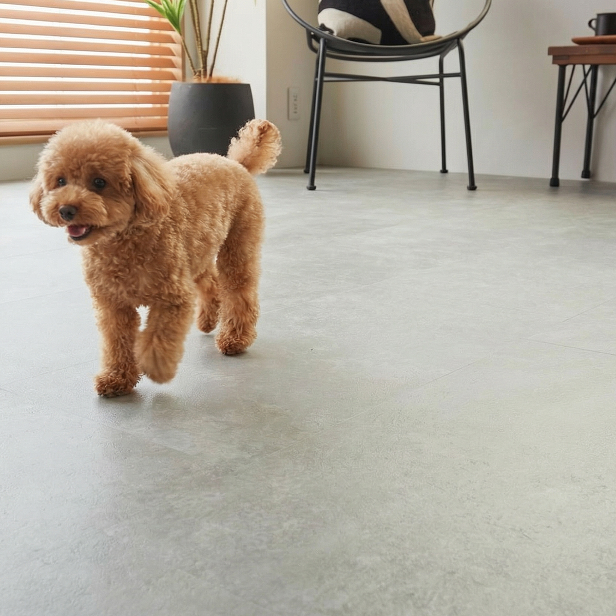 ペットが遊んでいる様子