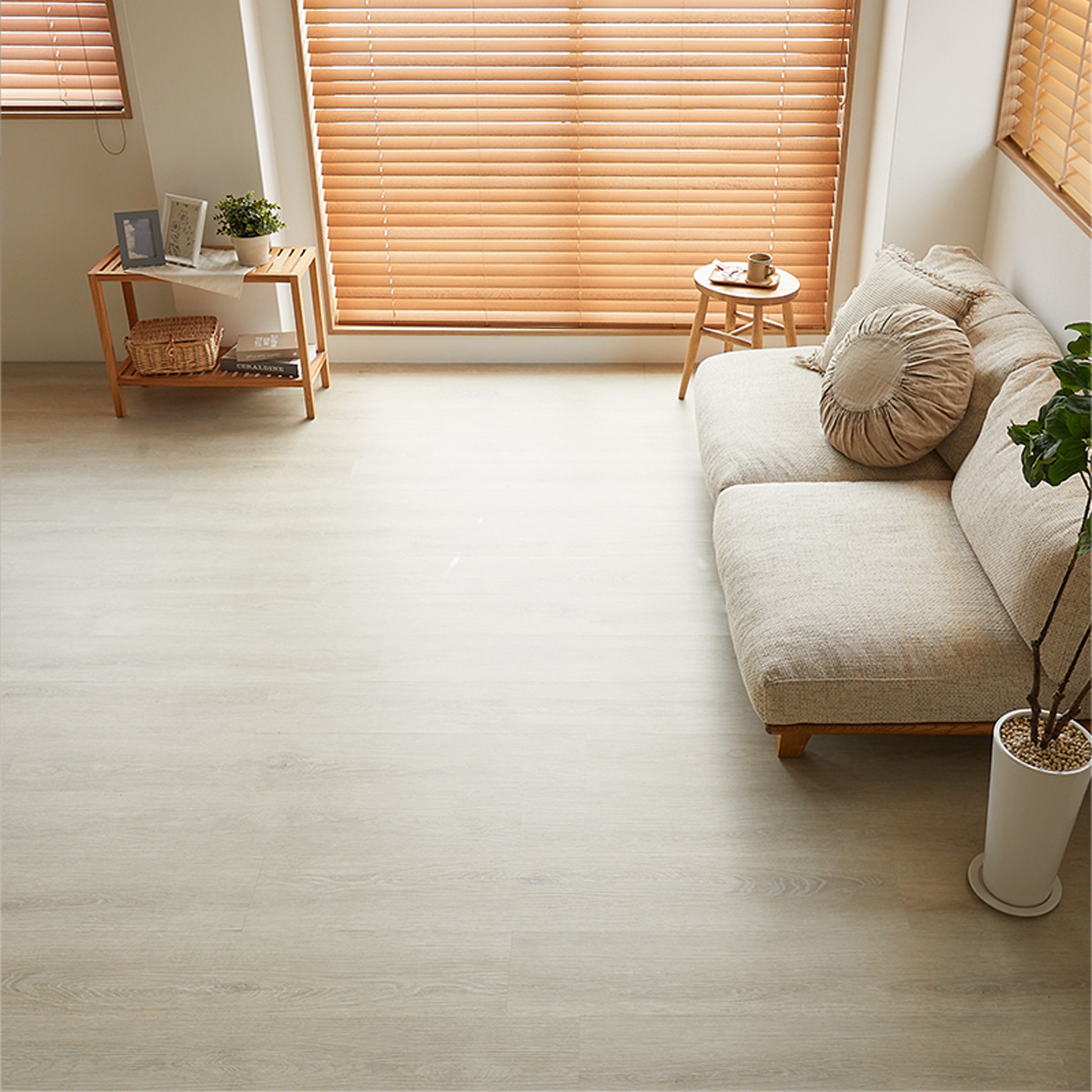 横から見た様子