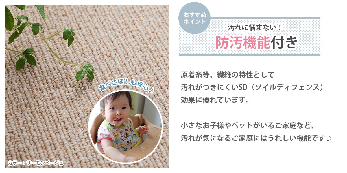 レイーラ　防汚
