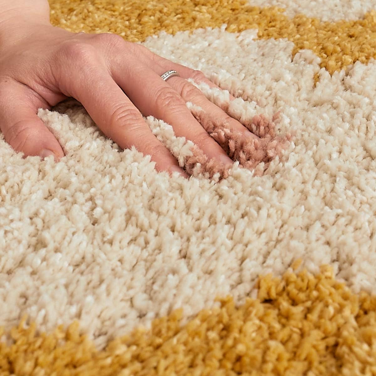 ふわふわの毛並み