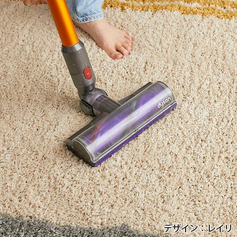 掃除機をかけている様子