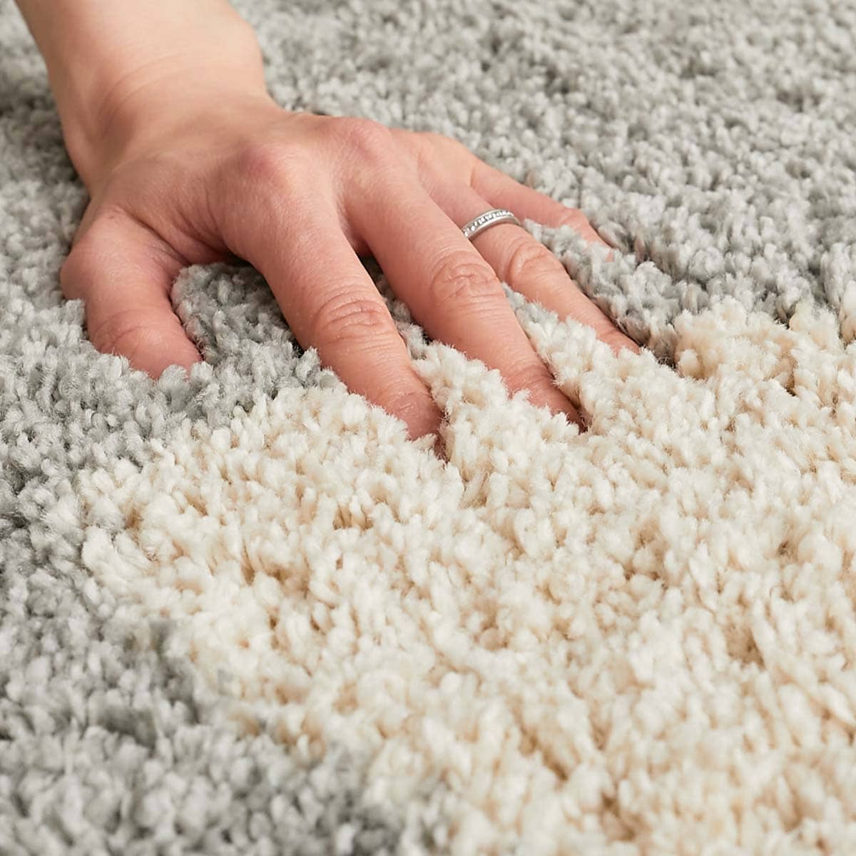 ふわふわの毛並み