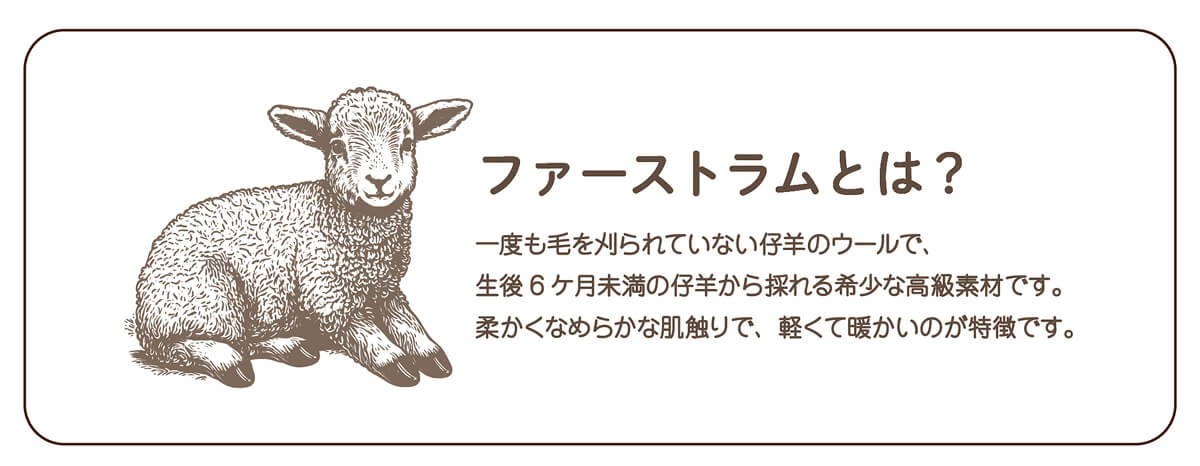 ファーストラムとは？