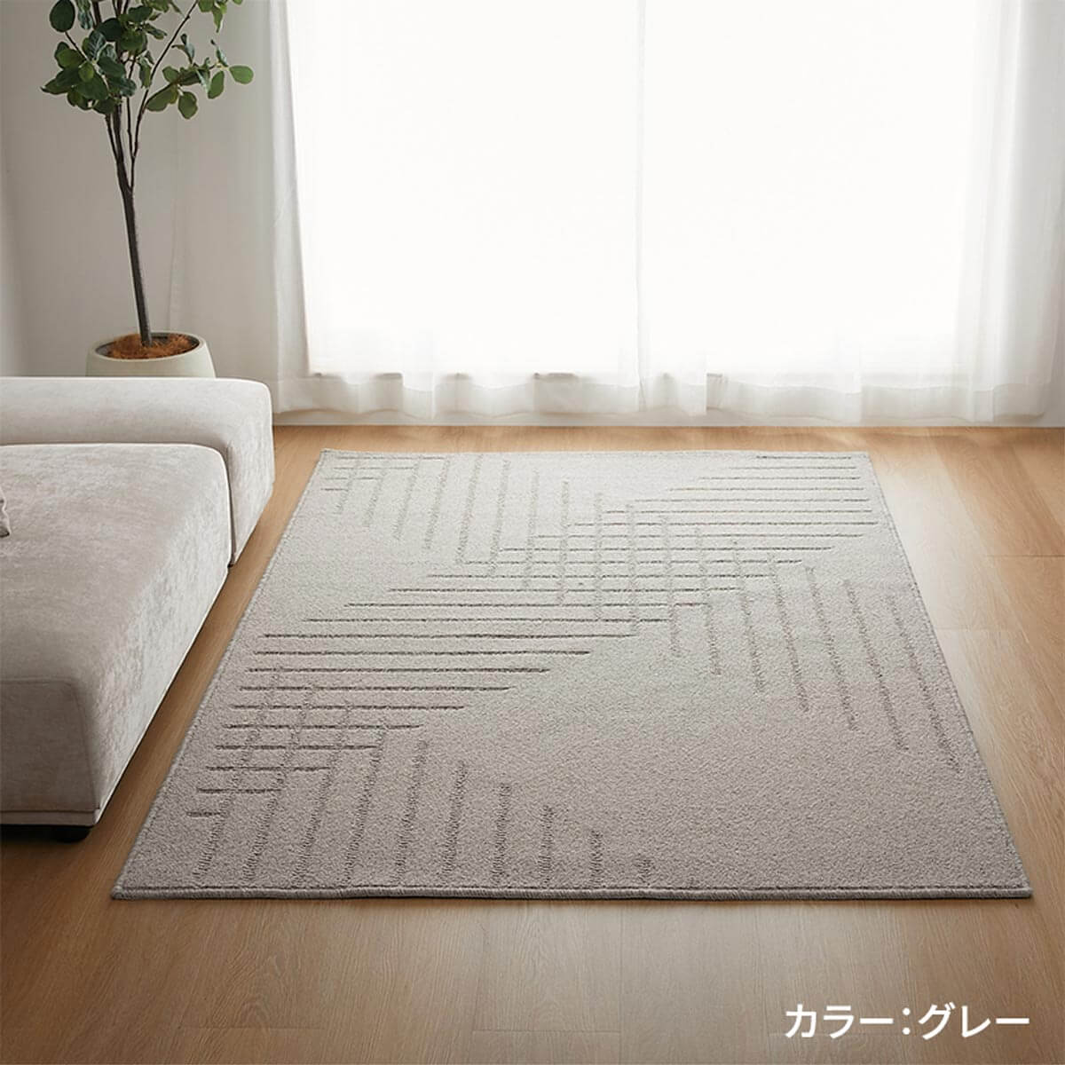 ラグの上で過ごしているイメージ